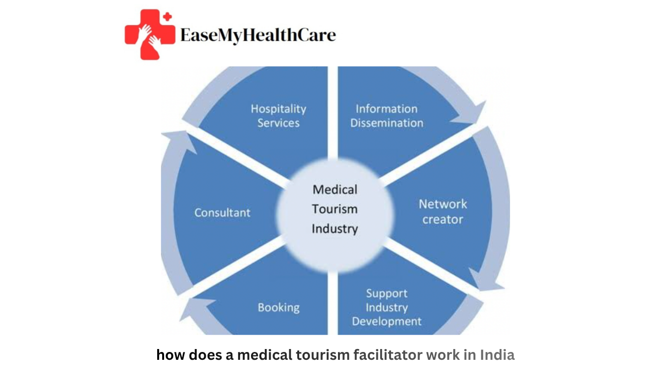 How Does a Medical Tourism Facilitator Work in India? 2026 Guide | EaseMyHealthcare